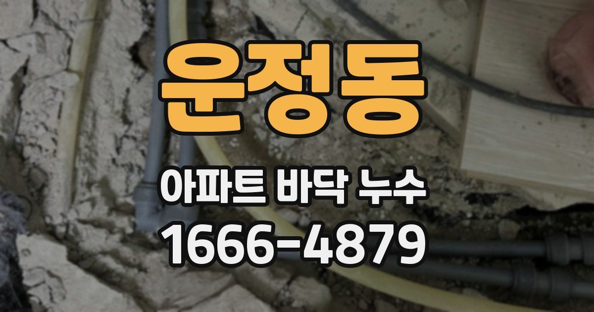 운정동 아파트 바닥 누수