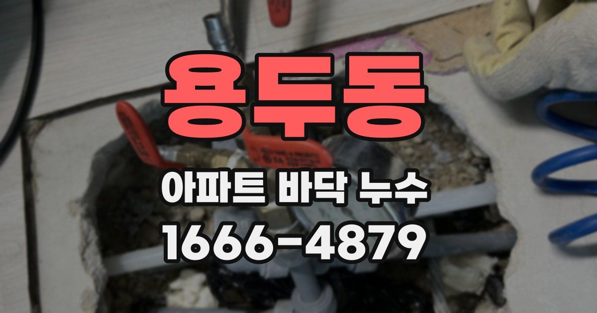 용두동 아파트 바닥 누수