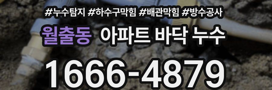 월출동 아파트 바닥 누수