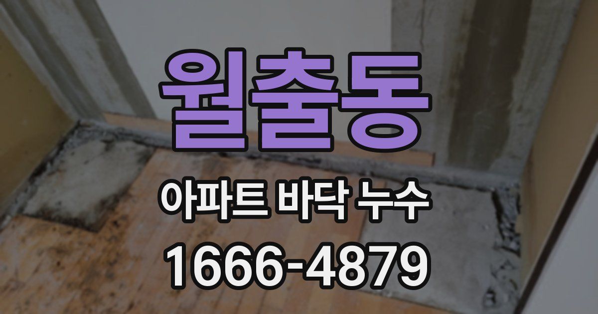 월출동 아파트 바닥 누수