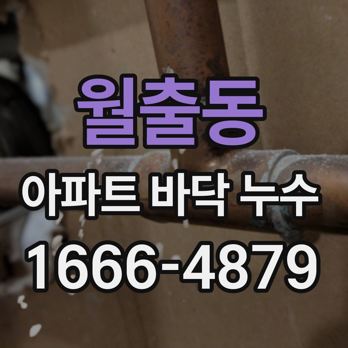 월출동 아파트 바닥 누수