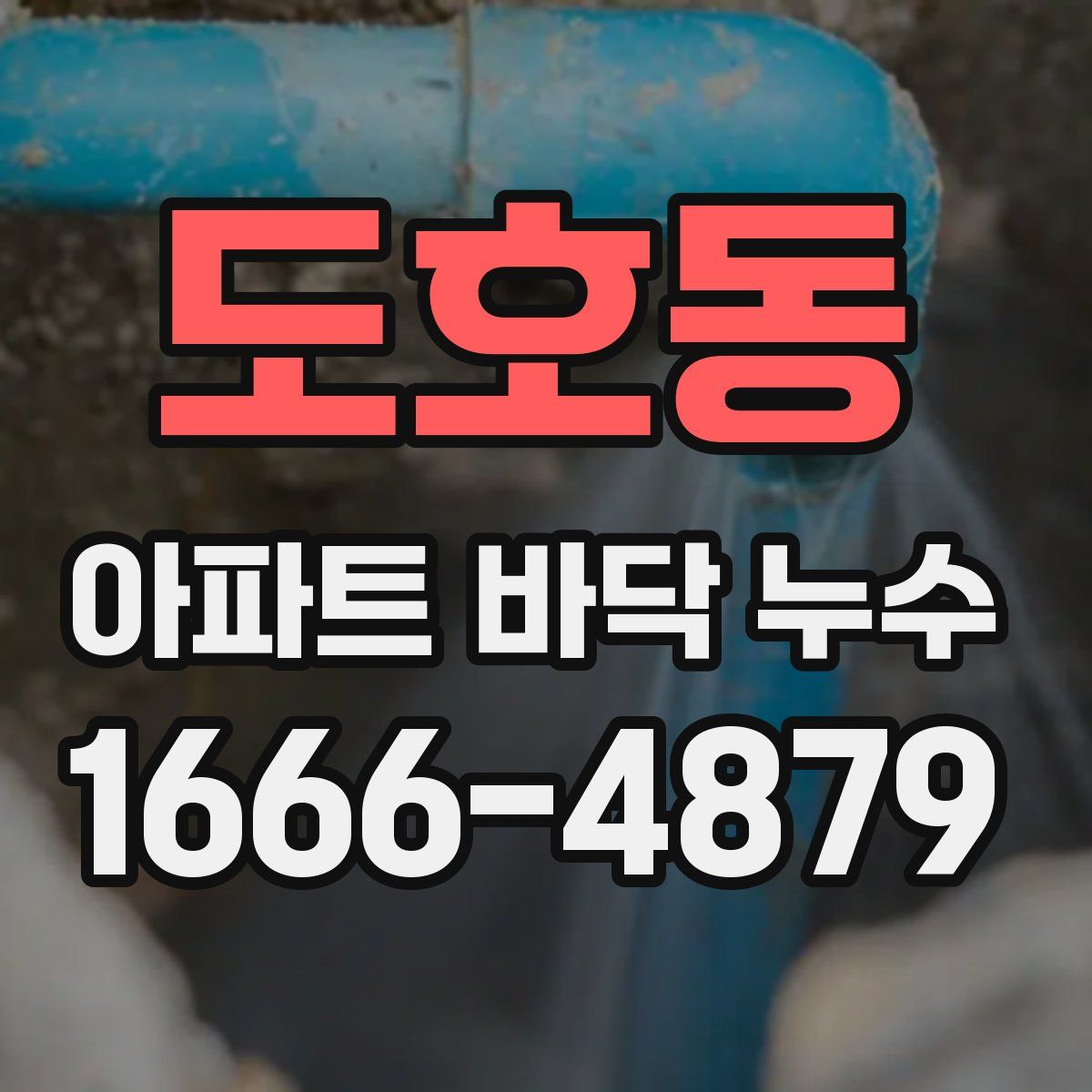 도호동 아파트 바닥 누수