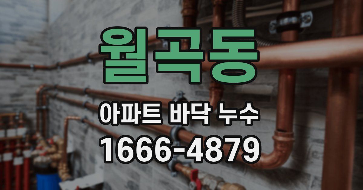 월곡동 아파트 바닥 누수