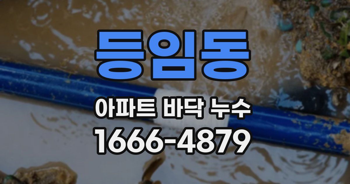 등임동 아파트 바닥 누수