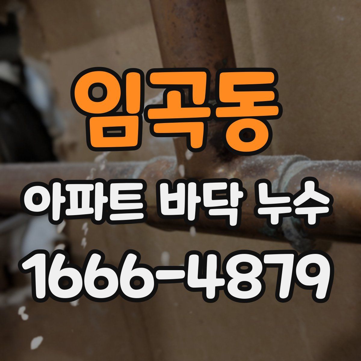 임곡동 아파트 바닥 누수