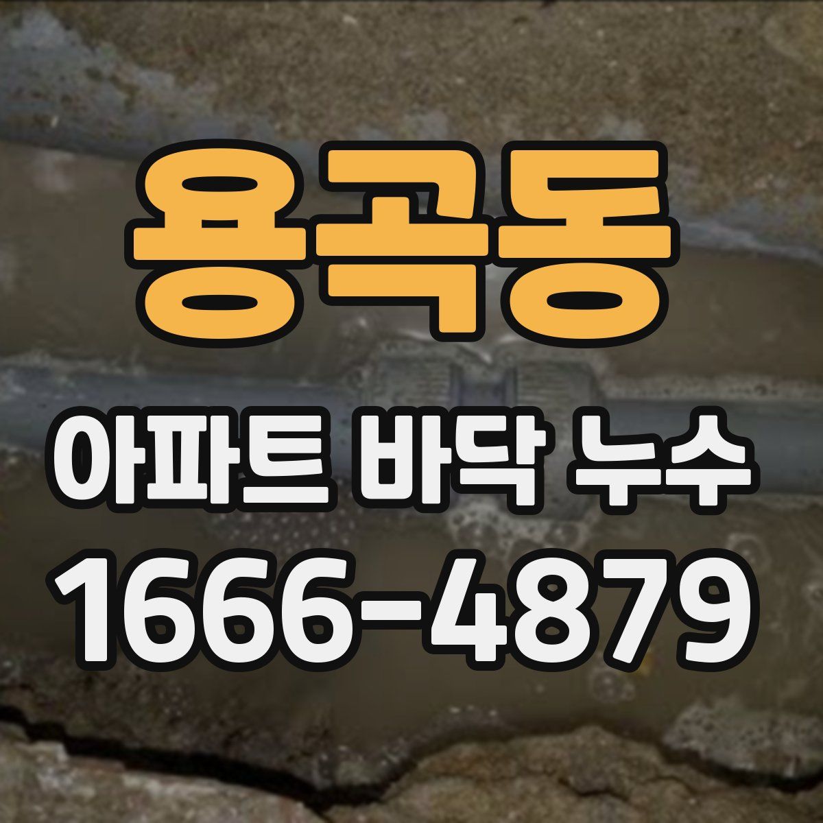 용곡동 아파트 바닥 누수