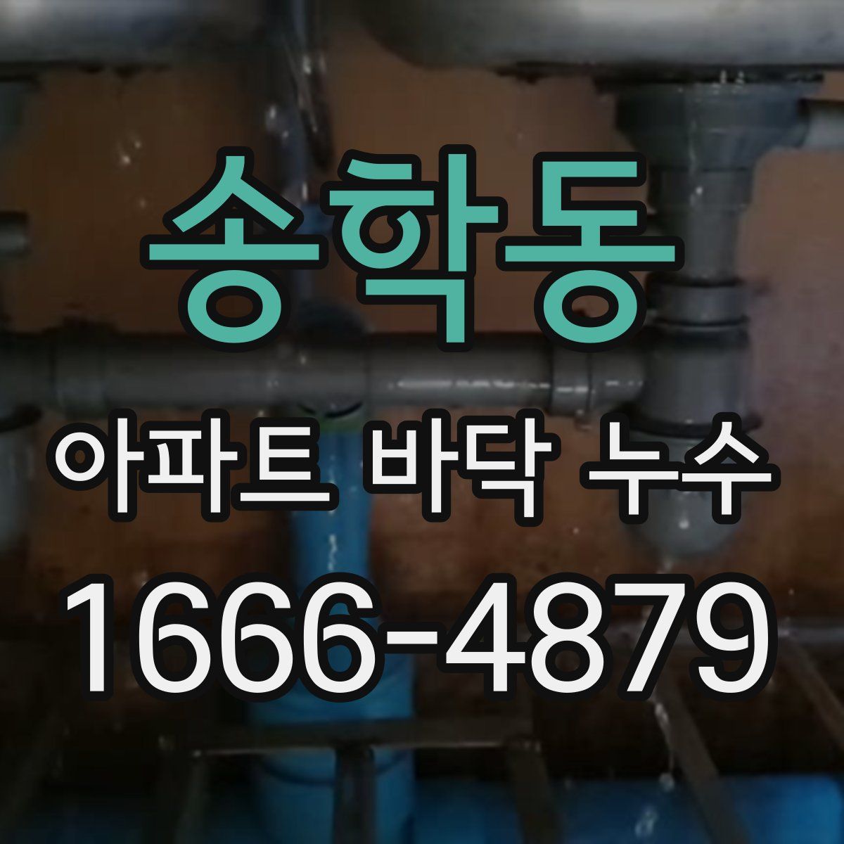 송학동 아파트 바닥 누수