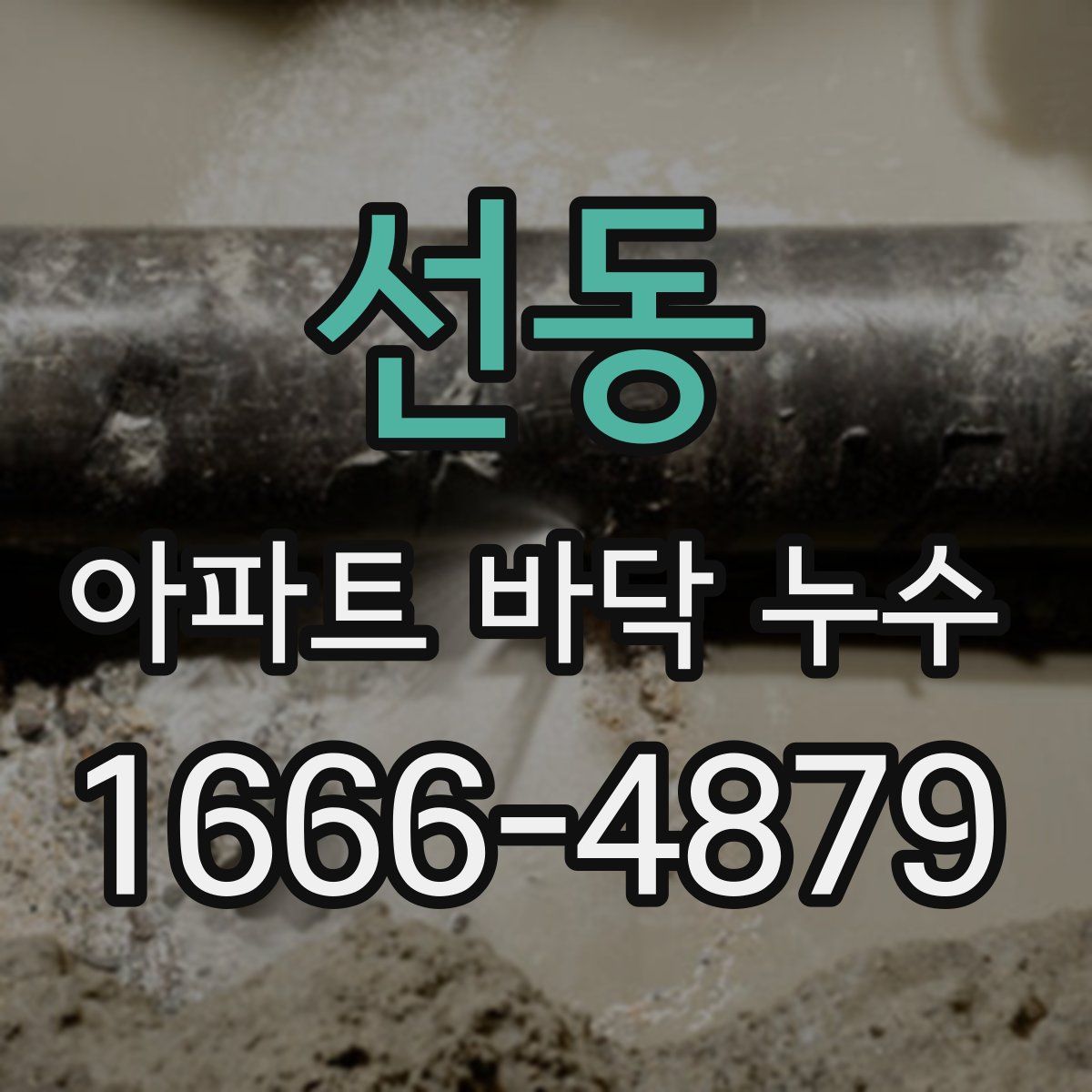 선동 아파트 바닥 누수