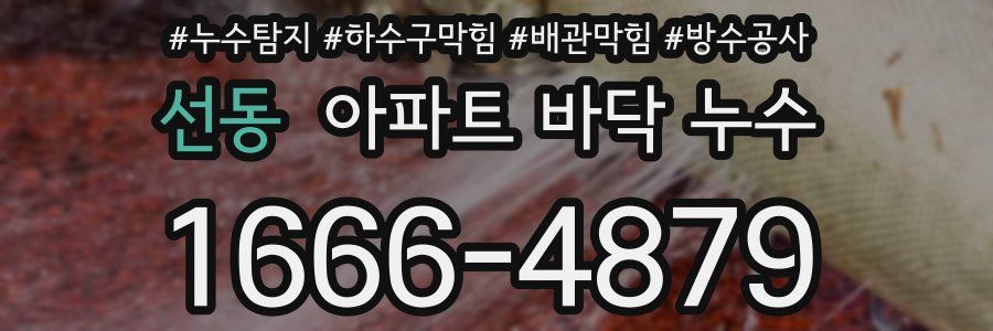 선동 아파트 바닥 누수