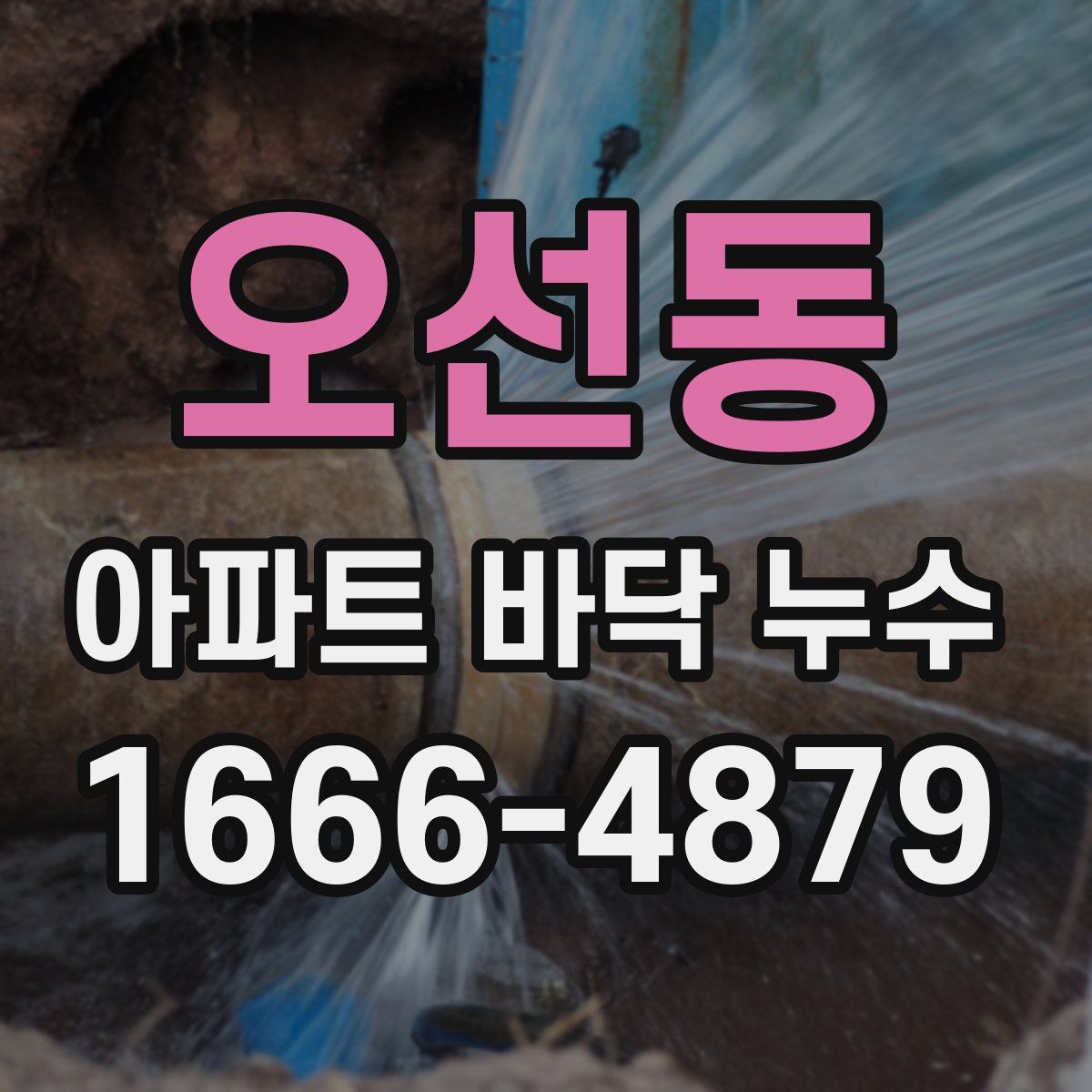 오선동 아파트 바닥 누수