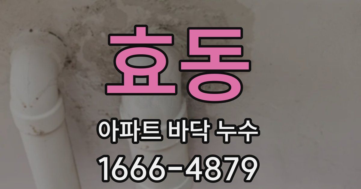 효동 아파트 바닥 누수