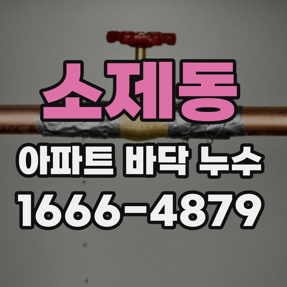 소제동 아파트 바닥 누수