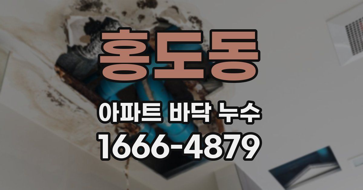 홍도동 아파트 바닥 누수
