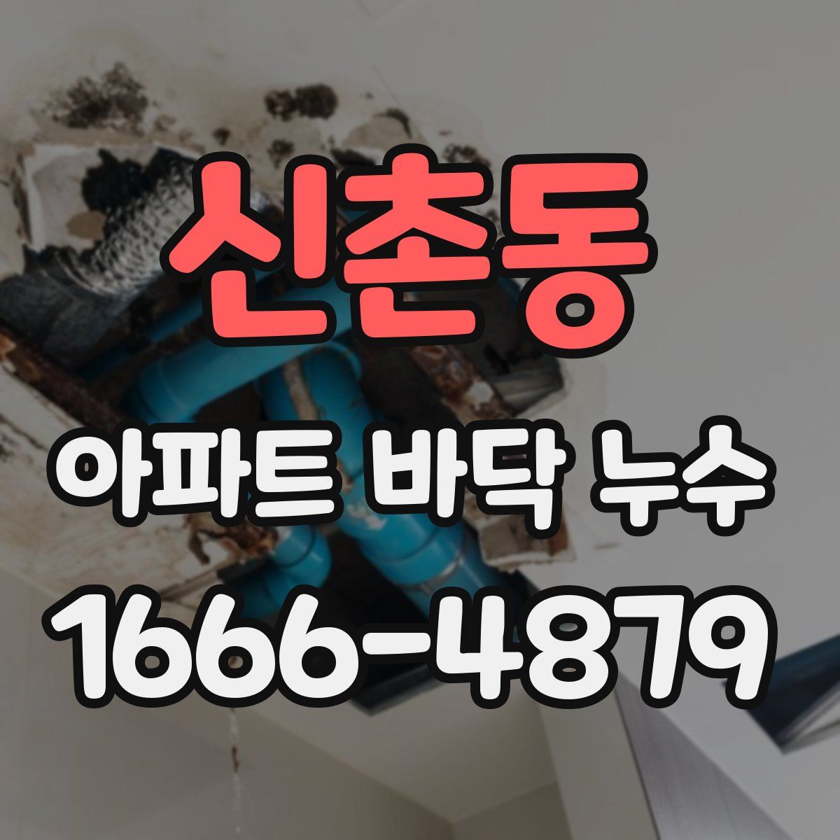 신촌동 아파트 바닥 누수