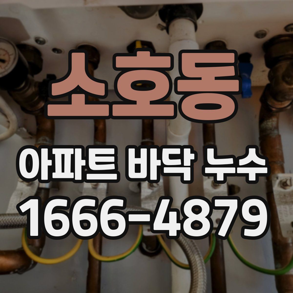 소호동 아파트 바닥 누수