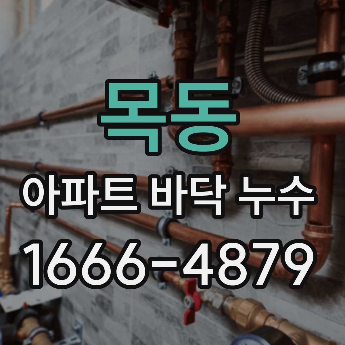 목동 아파트 바닥 누수