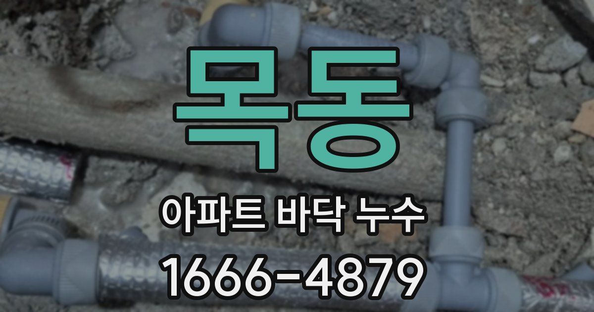 목동 아파트 바닥 누수