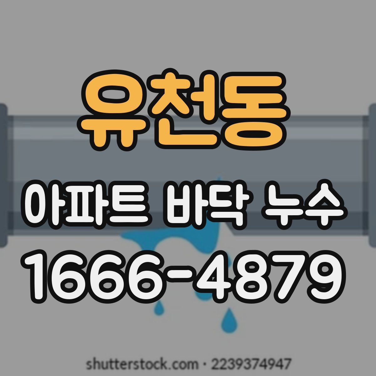 유천동 아파트 바닥 누수