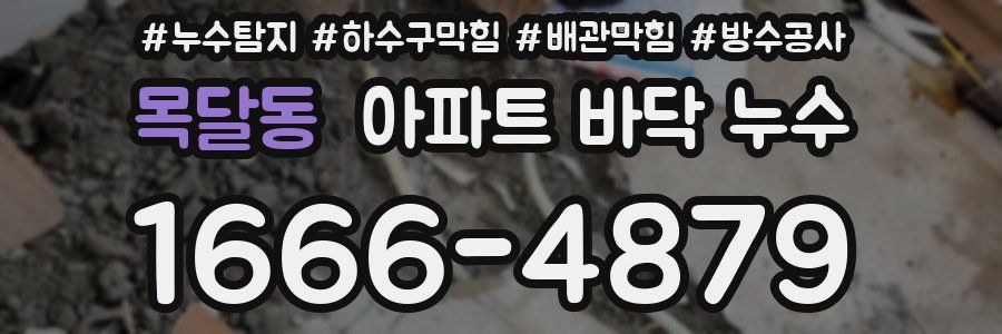 목달동 아파트 바닥 누수