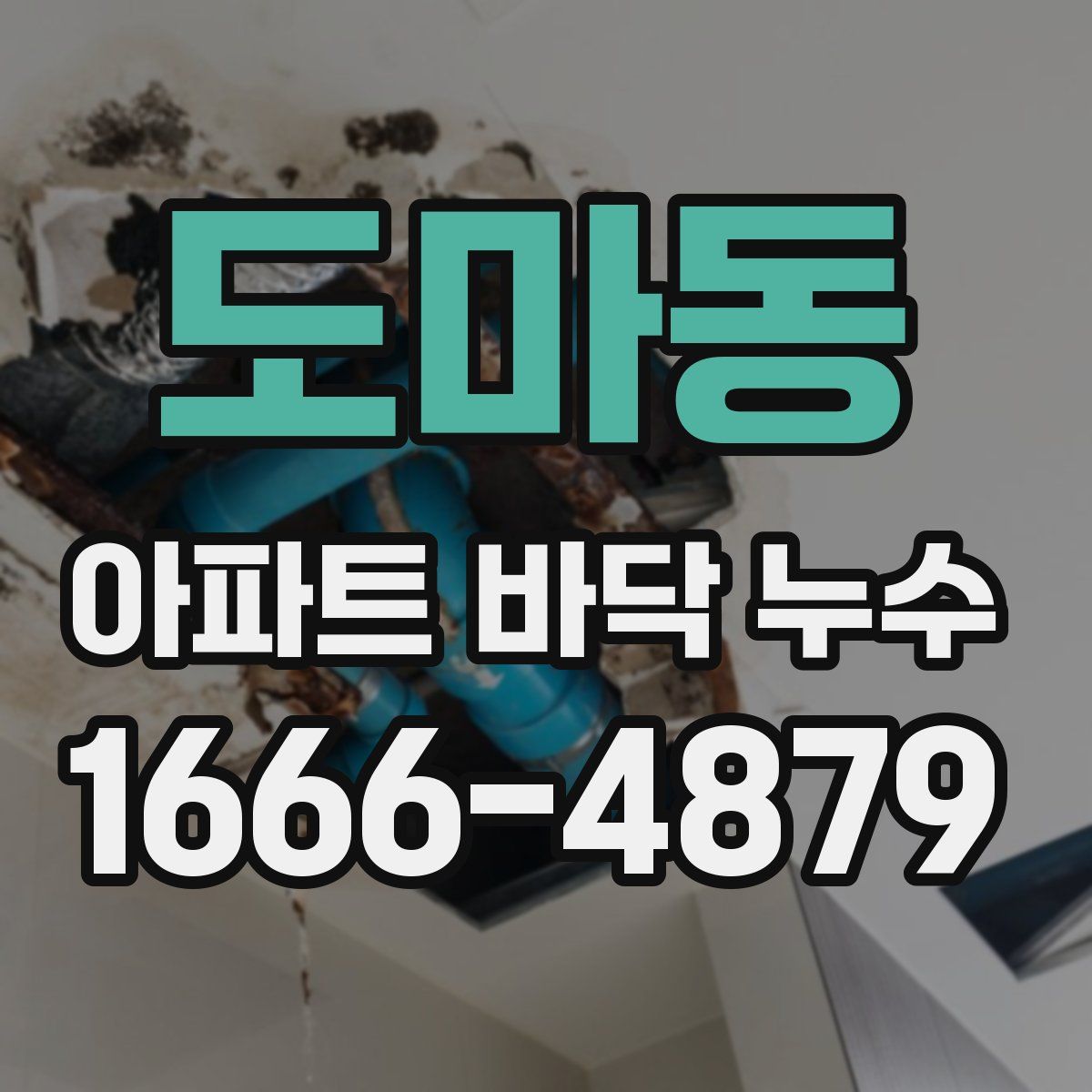 도마동 아파트 바닥 누수