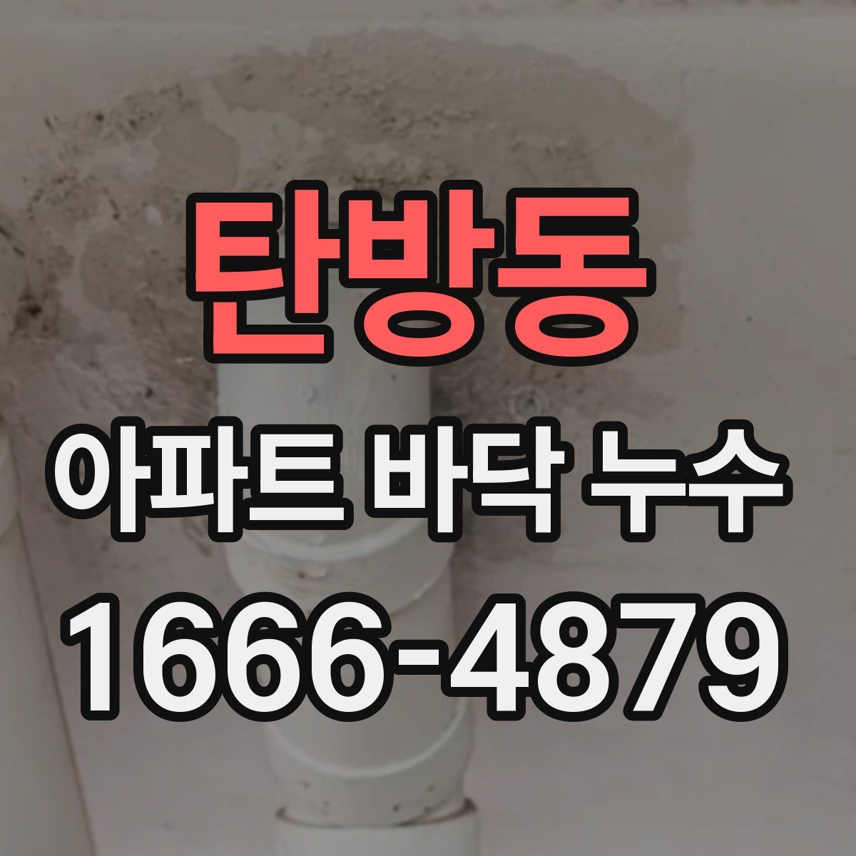 탄방동 아파트 바닥 누수