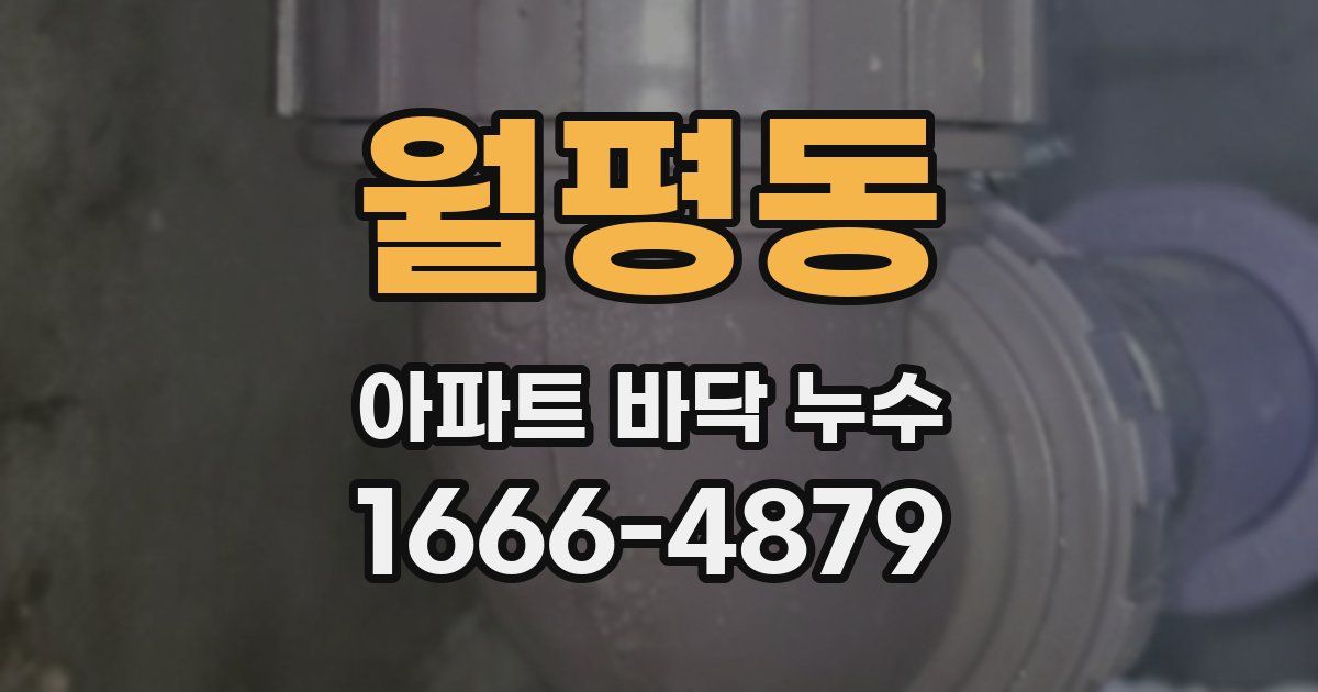 월평동 아파트 바닥 누수