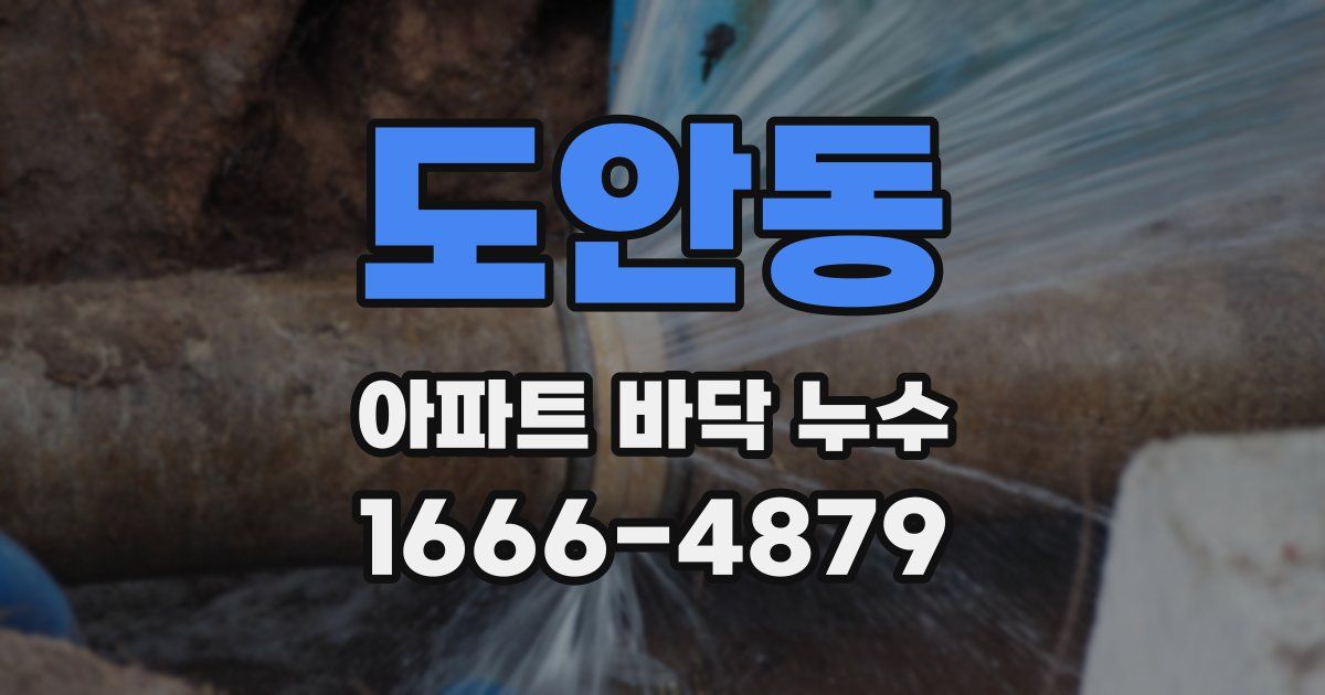 도안동 아파트 바닥 누수