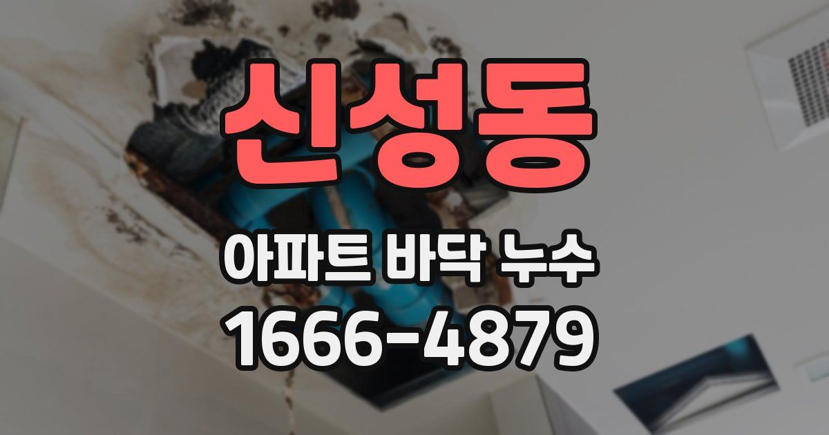 신성동 아파트 바닥 누수