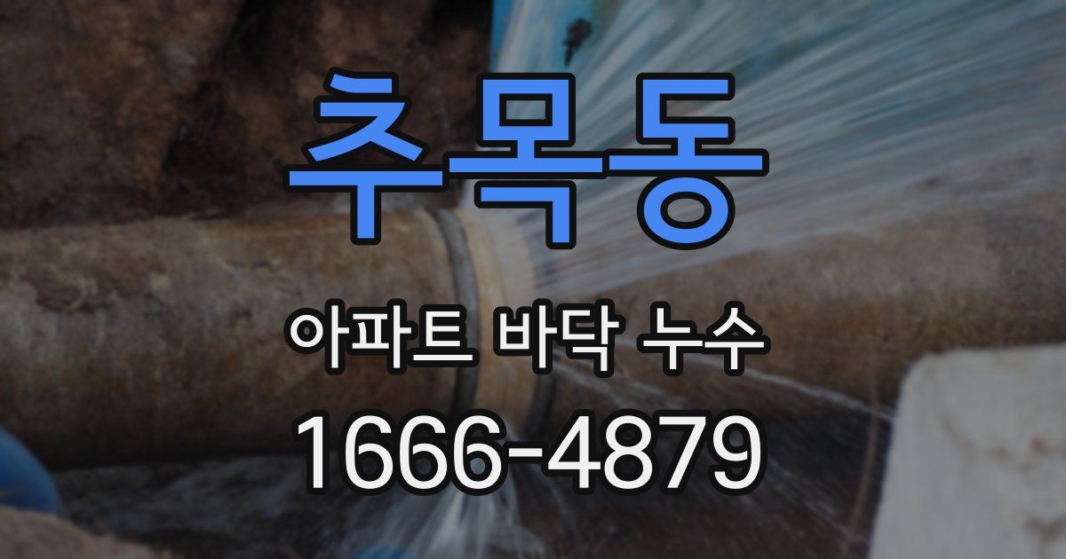 추목동 아파트 바닥 누수
