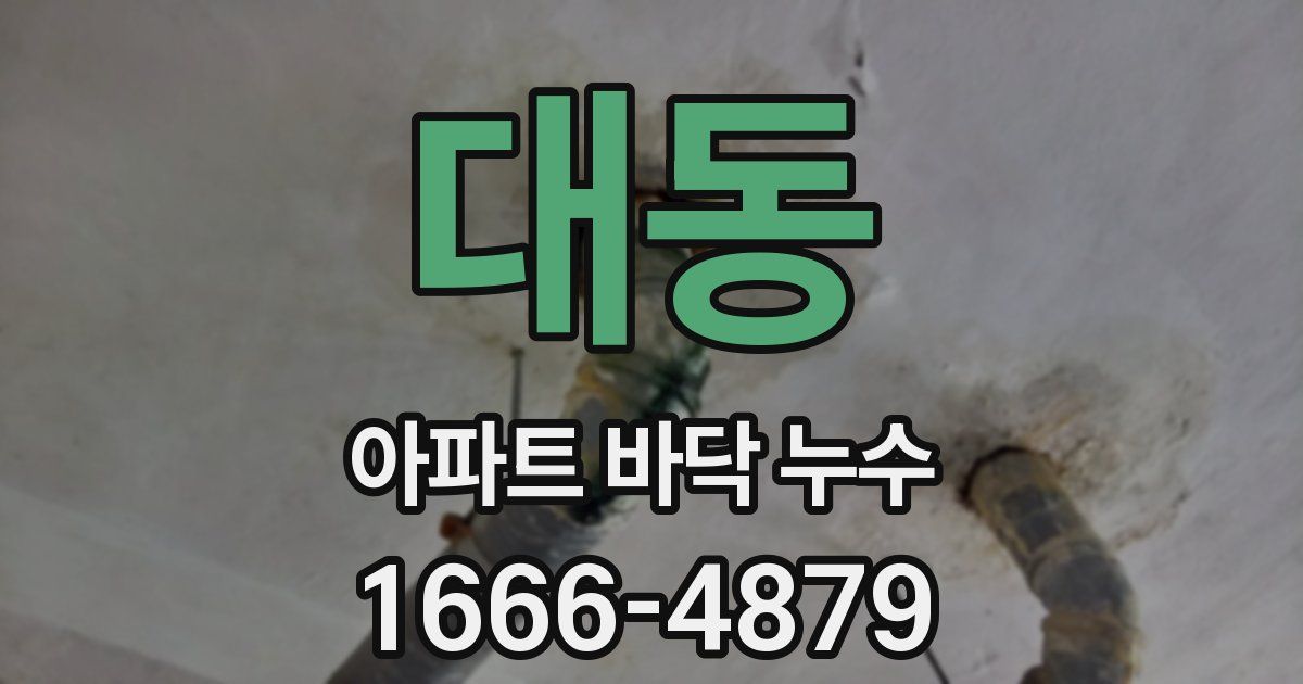 대동 아파트 바닥 누수