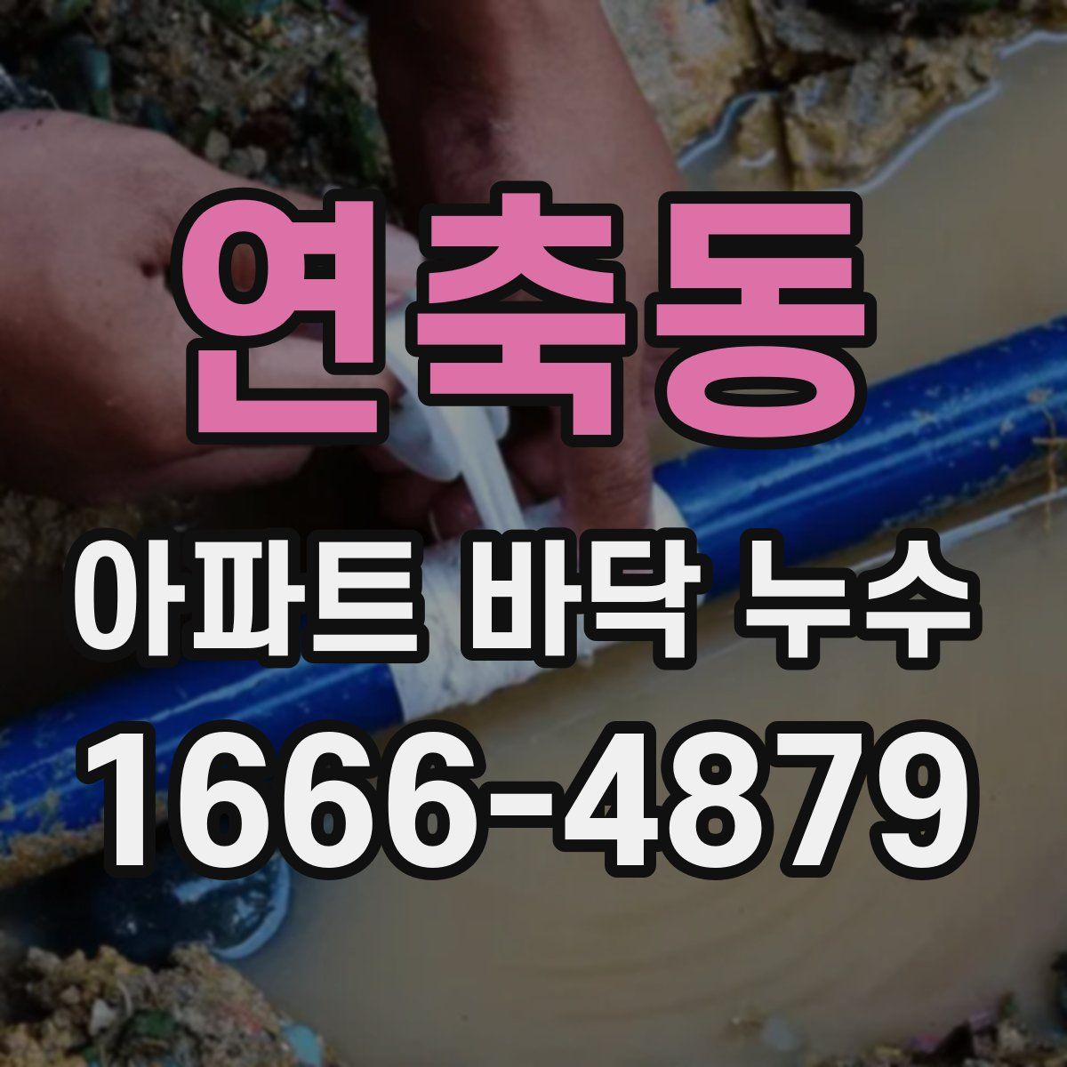 연축동 아파트 바닥 누수