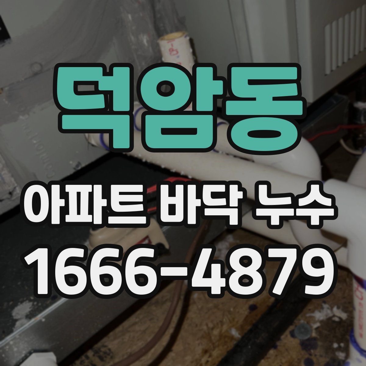 덕암동 아파트 바닥 누수