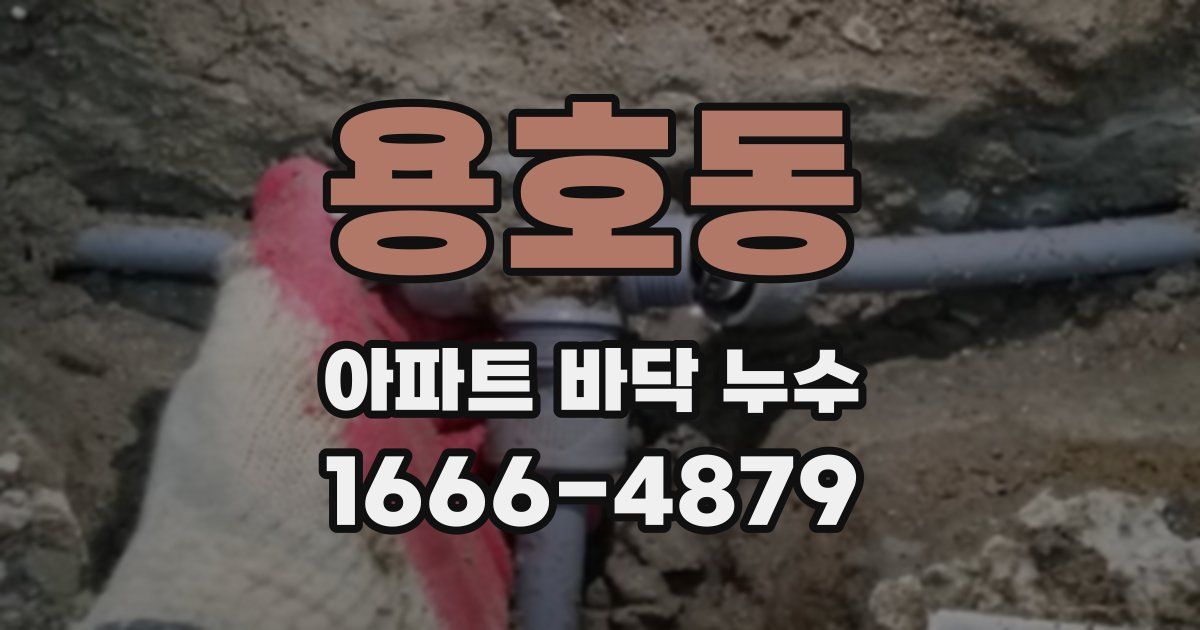 용호동 아파트 바닥 누수