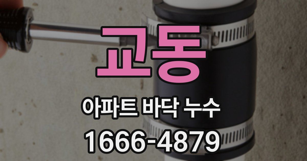 교동 아파트 바닥 누수