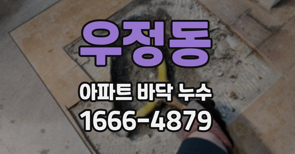 우정동 아파트 바닥 누수