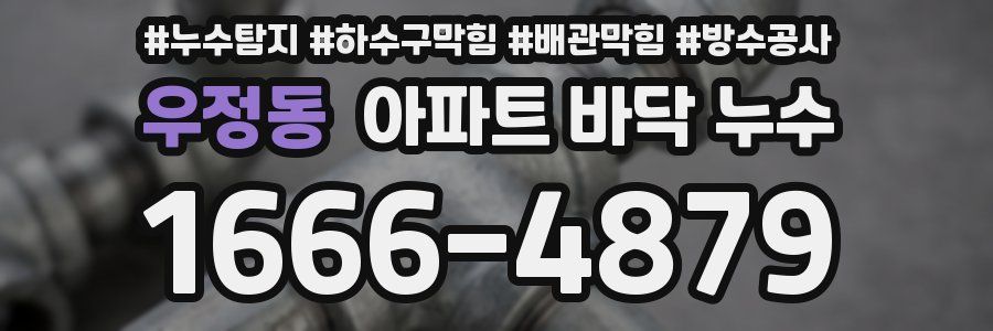 우정동 아파트 바닥 누수