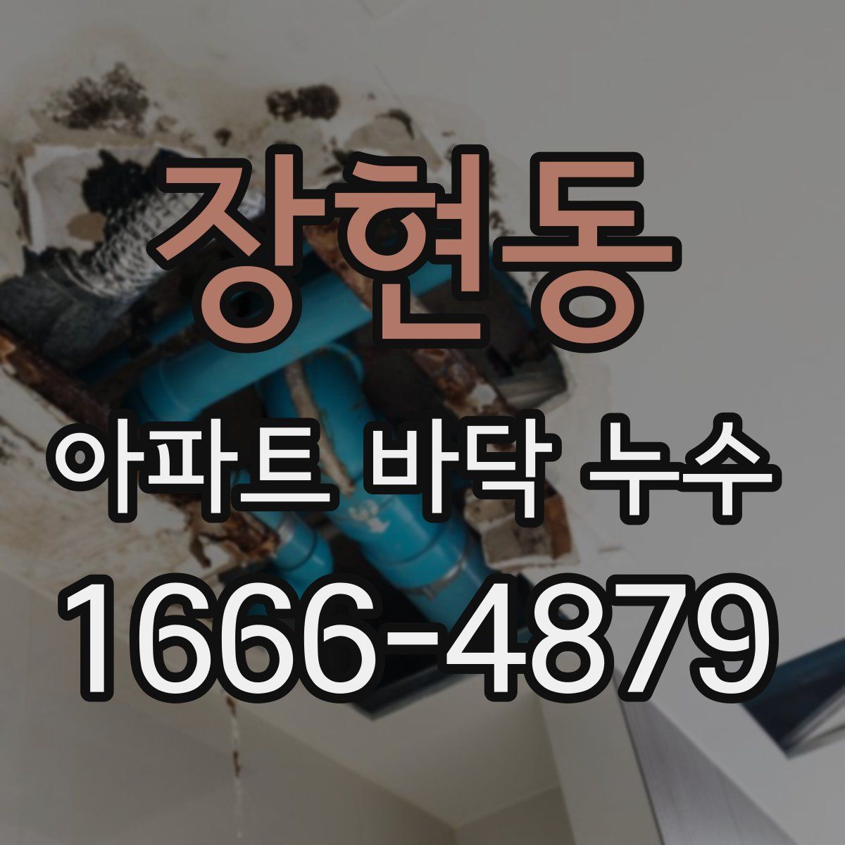 장현동 아파트 바닥 누수