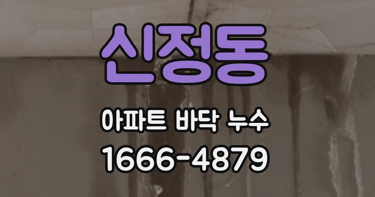 신정동 아파트 바닥 누수