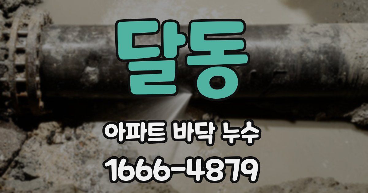 달동 아파트 바닥 누수