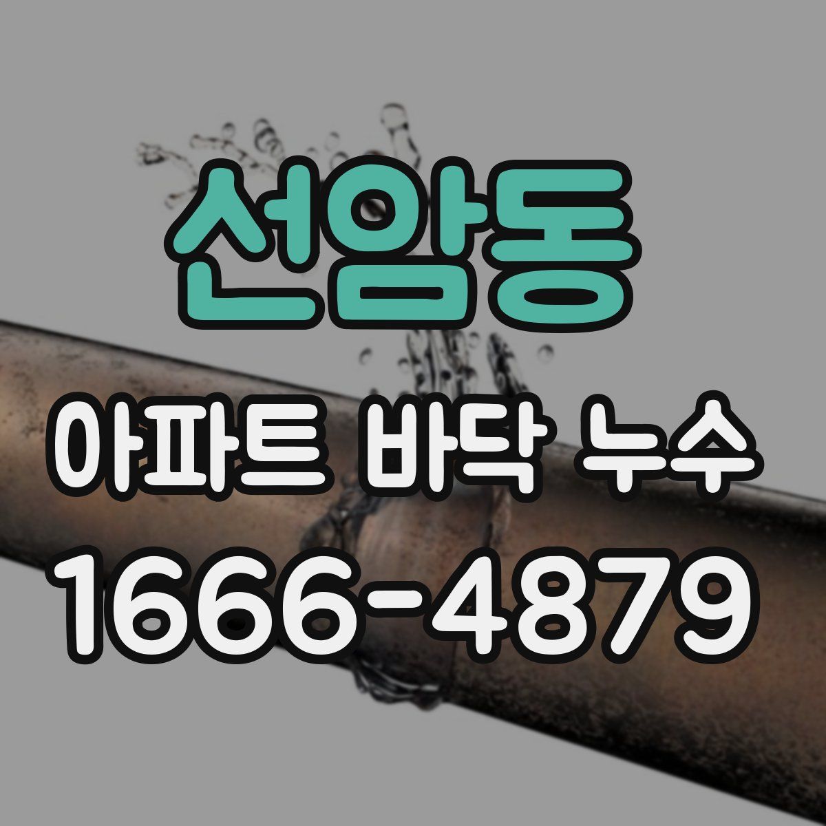선암동 아파트 바닥 누수