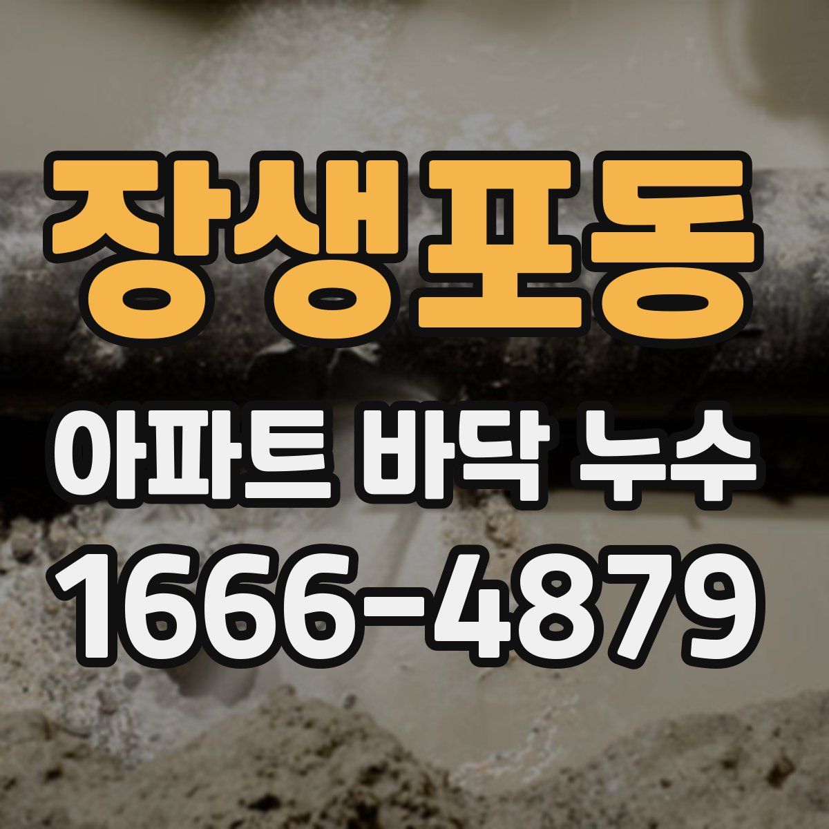 장생포동 아파트 바닥 누수