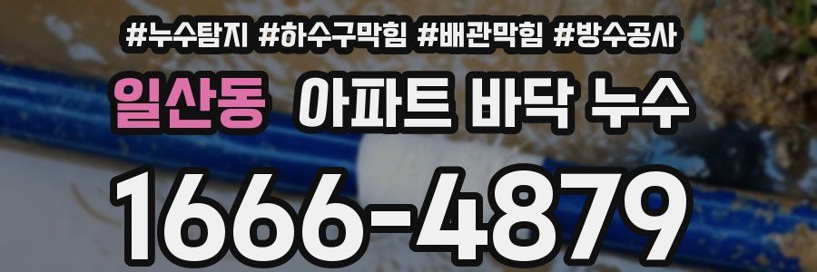 일산동 아파트 바닥 누수