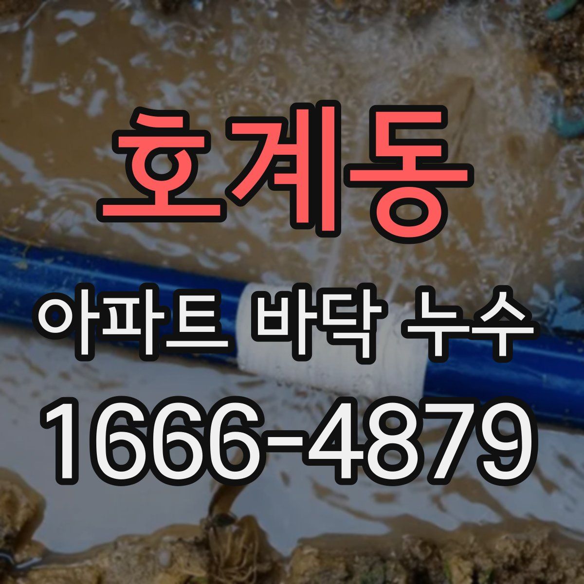 호계동 아파트 바닥 누수