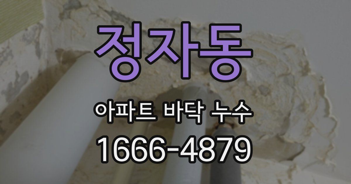 정자동 아파트 바닥 누수