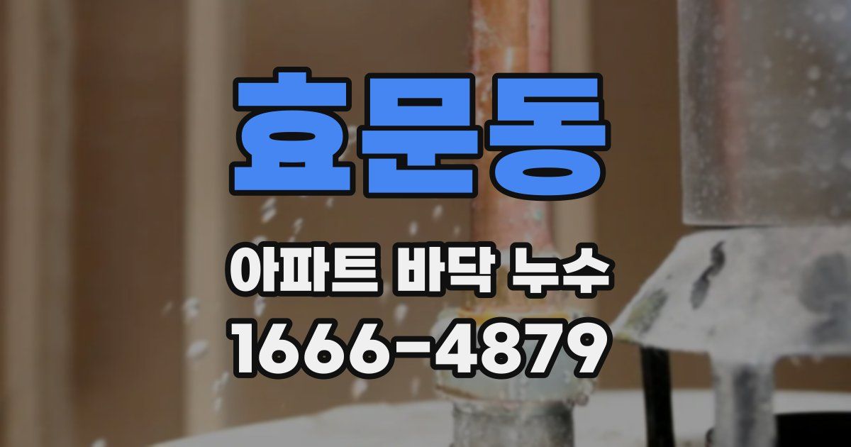효문동 아파트 바닥 누수
