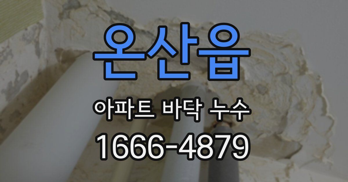 온산읍 아파트 바닥 누수