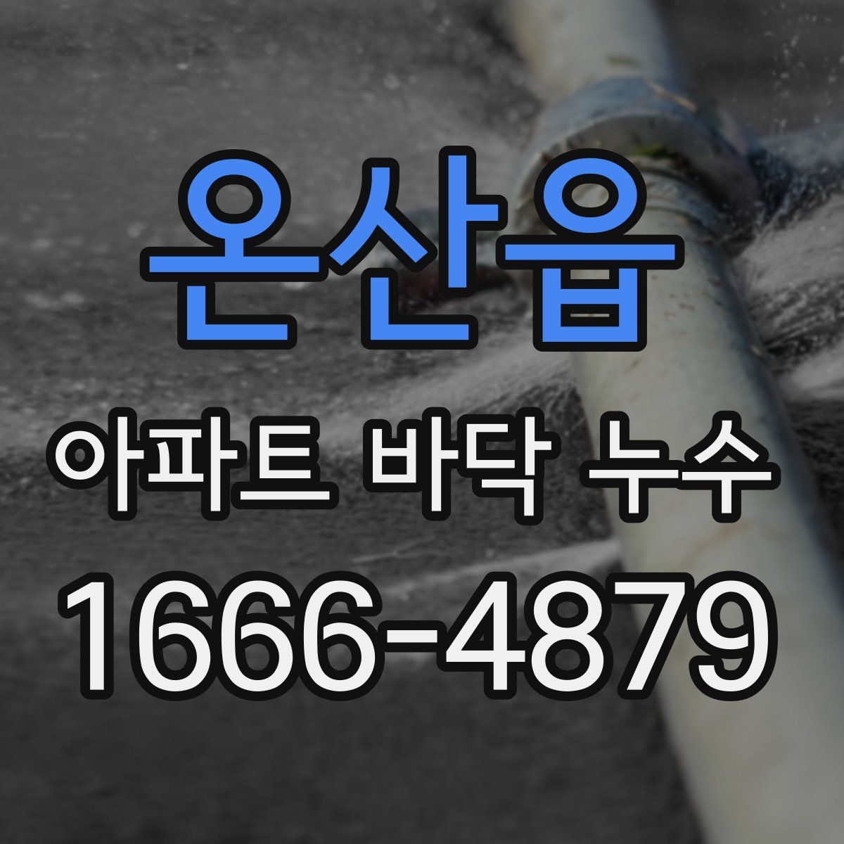 온산읍 아파트 바닥 누수