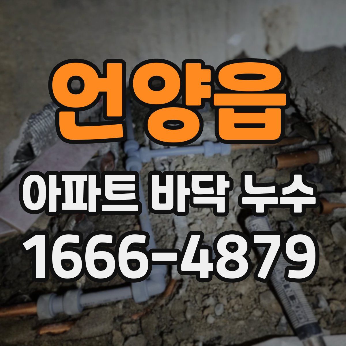 언양읍 아파트 바닥 누수