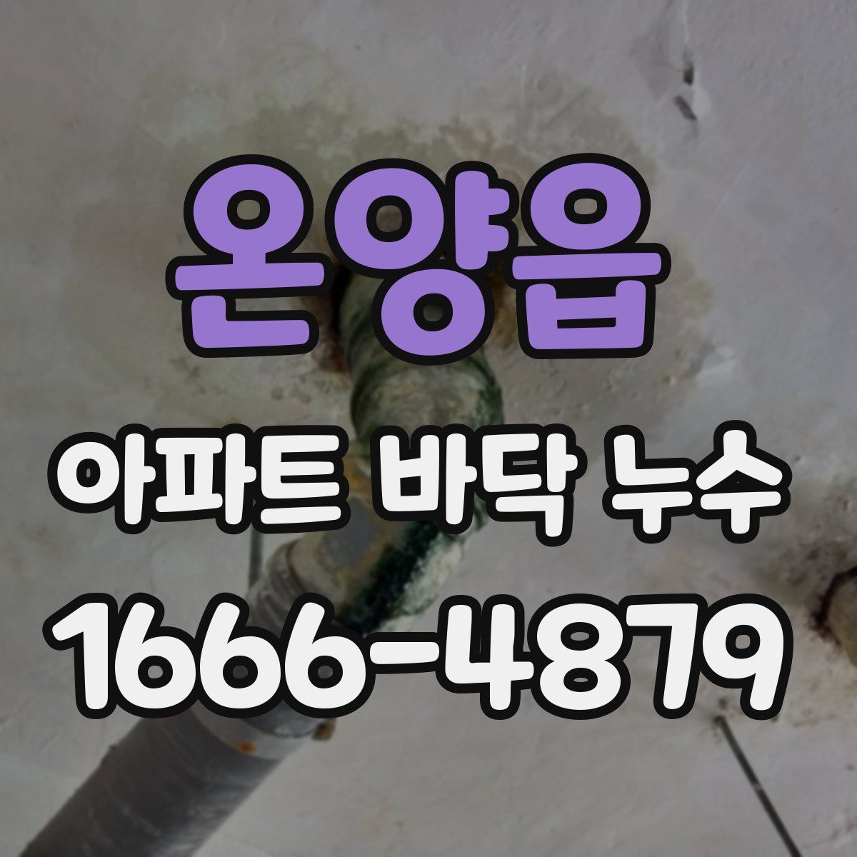 온양읍 아파트 바닥 누수
