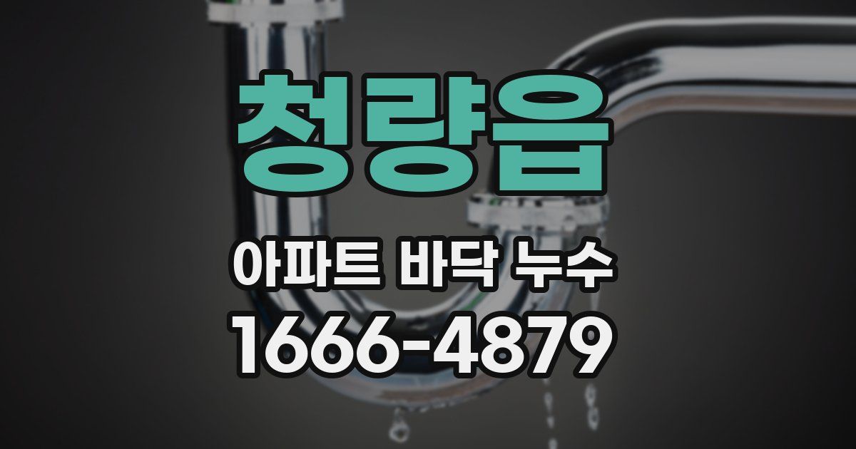 청량읍 아파트 바닥 누수